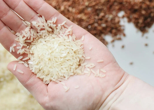 Rice and Probiotics Sunscreen